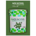 Aquacool Akrilik Hobi Boya 2,5 Kg Su Bazlı Hibrit Dönüşüm Boyası Ral 6010 Çimen Yeşili