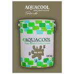 Aquacool Akrilik Hobi Boya 2,5 Kg Su Bazlı Hibrit Dönüşüm Boyası Ral 6013 Sazlık Yeşili