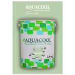 Aquacool Akrilik Hobi Boya 2,5 Kg Su Bazlı Hibrit Dönüşüm Boyası Ral 6019 Pastel Yeşil