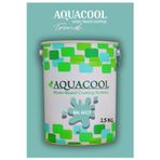 Aquacool Akrilik Hobi Boya 2,5 Kg Su Bazlı Hibrit Dönüşüm Boyası Ral 6027 Açık Yeşil