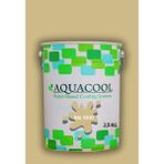 Aquacool Trend Akrilik Hobi Boya 2,5 kg Su Bazlı Hibrit Dönüşüm Boyası Ral 1000 Yeşil Bej - Bej - Yeşil