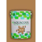 Aquacool Trend Akrilik Hobi Boya 2,5 kg Su Bazlı Hibrit Dönüşüm Boyası Ral 1011 Kahve Bej - Kahire Kahvesi