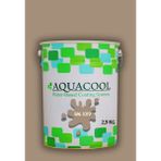 Aquacool Trend Akrilik Hobi Boya 2,5 kg Su Bazlı Hibrit Dönüşüm Boyası Ral 1019 Yeşil Bej - Açık Bej