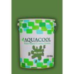 Aquacool Trend Akrilik Hobi Boya 2,5 kg Su Bazlı Hibrit Dönüşüm Boyası Ral 6017 Mayıs Yeşili