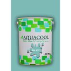 Aquacool Trend Akrilik Hobi Boya 2,5 kg Su Bazlı Hibrit Dönüşüm Boyası Ral 6027 Açık Yeşil