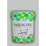 Aquacool Trend Akrilik Hobi Boya 2,5 kg Su Bazlı Hibrit Dönüşüm Boyası Ral 7035 Açık Gri - Gri Yeşil