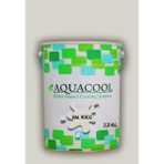 Aquacool Trend Akrilik Hobi Boya 2,5 kg Su Bazlı Hibrit Dönüşüm Boyası Ral 9002 Gri Beyaz - Antik Beyaz