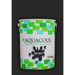 Aquacool Trend Akrilik Hobi Boya 2,5 kg Su Bazlı Hibrit Dönüşüm Boyası Ral 9017 Trafik Siyahı - Siyah Gümüş