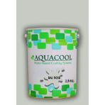 Aquacool Trend Akrilik Hobi Boya 2,5 kg Su Bazlı Hibrit Dönüşüm Boyası Ral 9018 Papirus Beyazı - Beyaz Gümüş
