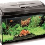 Aquael Classic Box 60 Siyah Düz Cam Akvaryum
