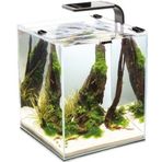 Aquael Shrimp Set Day and Night 20 Siyah 19 lt Karides Akvaryumu
