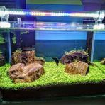 Aqualed 5 Renk Akvaryum Aydınlatma 60 Cm