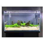 Aqualed 6500K 928006 Led Beyaz 80 cm Aydınlatma Armatür