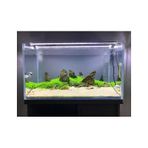 Aqualed 6500K Beyaz LED 30 cm Aydınlatma Armatür