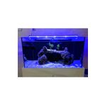 Aqualed 928019 Led Mavi 80 cm Aydınlatma Armatür