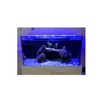 Aqualed 928021 Led Mavi 100 cm Aydınlatma Armatür