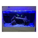 Aqualed Armatür Royal Mavi 60 cm Led Aydınlatma