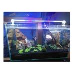 Aqualed Karışık Renkli Beyaz Kırmızı Mavi 70 cm Led Aydınlatma