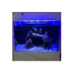 Aqualed Led Royal Mavi Akvaryum Led Aydınlatma 40 Cm