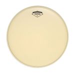 Aquarian Modern Vintage MODII10 10 inç Tom Derisi