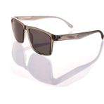 Ar Collection Erkek Kemik Polarize Güneş Gözlüğü Ar984 C5