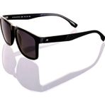 Ar Collection Erkek Kemik Polarize Güneş Gözlüğü Ar984 C6