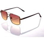 Ar Collection Plus Erkek Metal Güneş Gözlüğü AR312 C6 - Çok Renkli