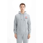 Ar-ma Erkek Kapşonlu Sweatshirt Yazi Baskili Kanguru Cepli Örme Kumaş Regular Fit%70 Pamuk%30 Polyester 30/1 Şardonlu Üç İplik K26254625001 Gri-G10