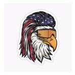 Araba İçin Havalı Kartal Sticker Yapıştırması Etiket Oto 17cm Z1