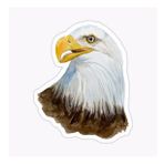 Araba İçin Kartal Oto Sticker Yapıştırması Etiket 17cm A6