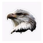 Araba İçin Kartal Oto Sticker Yapıştırması Etiket 17cm Q7