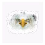Araba İçin Kartal Oto Sticker Yapıştırması Etiket 17cm W1