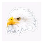 Araba İçin Kartal Oto Sticker Yapıştırması Etiket 17cm W8