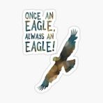 Araba İçin Kartal Oto Sticker Yapıştırması Etiket 17cm Z3