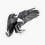 Araba İçin Kartal Oto Sticker Yapıştırması Etiket 17cm Zz8