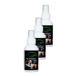 Araç İçi Temizleyici Çok Amaçlı Sprey 100 Ml. Üçlü Set