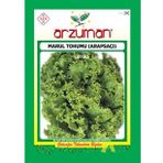 ARAPSAÇI KIVIRCIK MARUL TOHUMU 10 GR ORT 7500 AD TOHUM