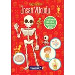 Araştırma Dizisi İnsan Vücudu - kollektif