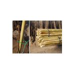 Arel Tarım Kargı 150 cm Bitki Destek Çubuğu TYC00420987485