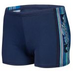 Arena Palette Swim Short Erkek Çocuk Yüzücü Mayosu 08099770