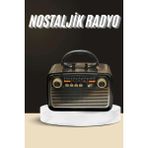 Arenes Nostaljik Radyo Bluetooth Bağlantılı Müzik Kutusu Ahşap ( Lisinya )