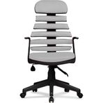 Arenzo Ev ve Ofis Çalışma Sandalyesi Bilgisayar ve Yönetici Koltuğu Zebra Model Gri