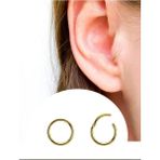 Ares Collection Cerrahi Çelik Menteşeli Tragus Helix Rook Conch Uyumlu Tam Halka Piercing