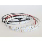 Arge Led Samsung 24v 6500k Soğuk Beyaz Şerit Led