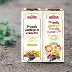 Arı Damlası Propolis Zerdeçal Zencefil ve Ekinezyalı Şurup 340 gr ( Çocuk ve Yetişkin ) - 2 Adet