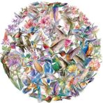 Arı kuşu çıkartması, 50 adet, Hummingbird şeffaf çıkartma, kaykay, grafiti, çıkartma, motosiklet, bisiklet, snowboard, bagaj, dizüstü bilgisayar, araba, çanta, çocuklar ve gençler için, su geçirmez