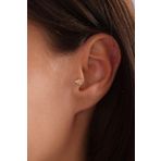 Arı Tragus Küpe