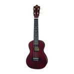 Aria ACU1 Concert Ukulele