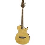 Aria APE100N Elektro Akustik Gitar - renk - Natural