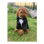 Aria Pet Boutique Köpek Kedi Smokin Ceket Gömlek (Small)